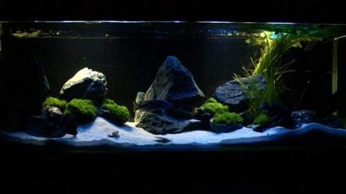 View 3
