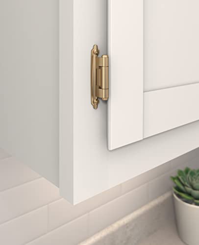 Amerock Bpr7630Cz | Reverse Bevel Face Frame Cabinet Hinge | Variable Overlay Self Closing Face Mount | Champagne Bronze | Kitchen Cabinet Door Hinge | 1 Pair/2 Pack | Functional Hardware #TOP1
