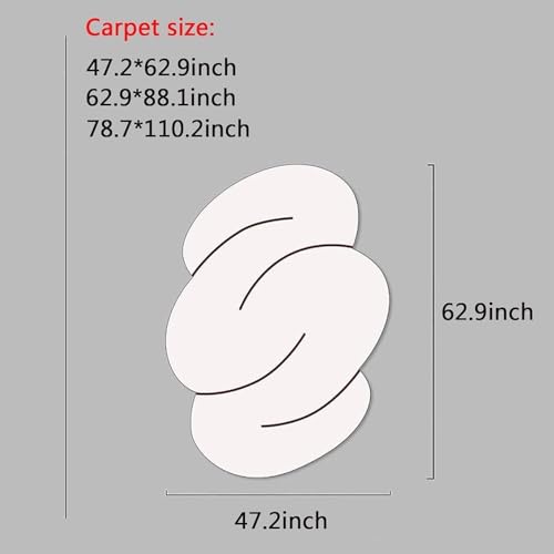 Tapis de sol irrégulier lavable pour protéger et décorer la chambre et le salon - 3