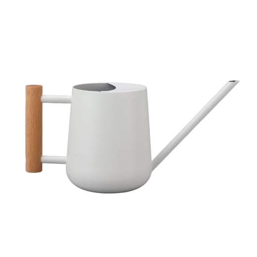 Regador para Plantas de Interior, 900ml Regador Pequeno para Interior Regador de Metal Em Aço Inoxidável Vaso de Rega Decorativo Moderno Com Bico Longo para Plantas de Casa de