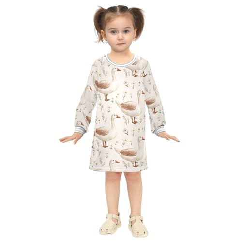 Hand Drawn Goose Girls Dresses Long Sleeve Sweatshirt Dress for Girls Winter Toddler Casual A Line Dresses Size 2-8T4