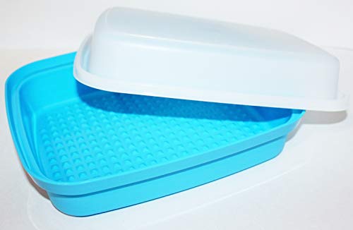 Tupperware Large Season Serve Blue