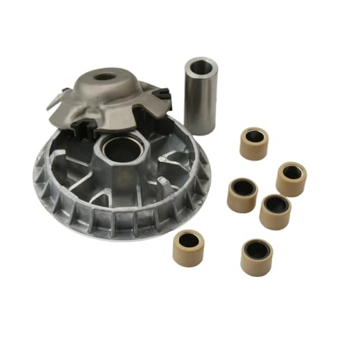 Kit variateur 18,2 g résout la perte de puissance du VTT 250 cm³ 2x4