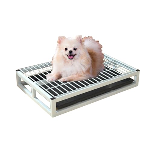 Plateau d'apprentissage propreté pour chien de petite taille en appartement