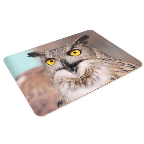 Set de table hibou grand duc en liège grand format x4