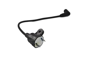 perfektGarten Ignition coil compatible with Matrix D-PG 1000, Profitexx SE 950, Scheppach SG950 power generator