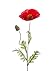 Produktbild artplants.de Künstliche Mohnblume, rot, 70cm - Kunstblume