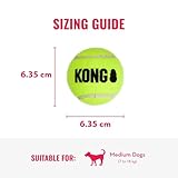KONG – Squeakair Balls – Premium-Hundespielzeug, Quietschende Tennisbälle, Zahnschonend – Für Mittelgroße Hunde (6er–Pack)