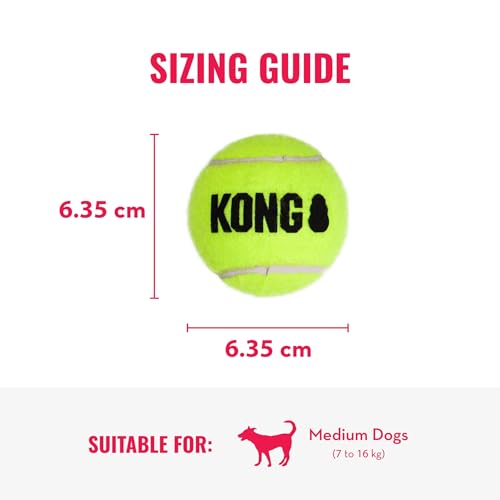 KONG – Squeakair Balls – Premium-Hundespielzeug, Quietschende Tennisbälle, Zahnschonend – Für Mittelgroße Hunde (6er–Pack)
