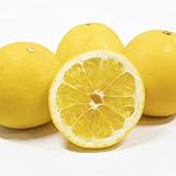 [みさわのやさい] 河内