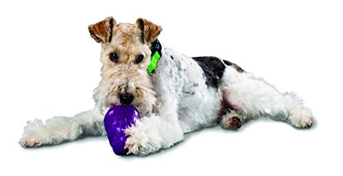 Brinquedo de Borracha Natural Vulcanizada Squirrel Dude, Tamanho Médio Petsafe para Cães, Médio, Rox