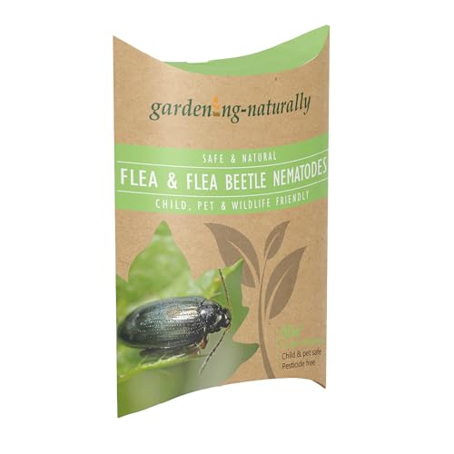 Lawn Flea & Beetle Nematodes - Pest Control for Lawns & Plants - Effective Flea & Beetle Treatment - 2 Applications for Comprehensive Coverage - Up to 50 sqm Lawn Protection
