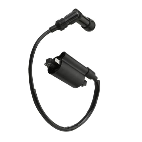 Bobine d'allumage pour scooter 250cc compatible avec le modèle Gr Vi Di Eu 2