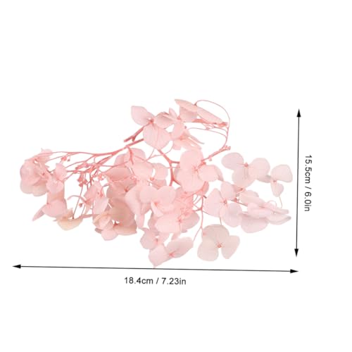 Natural Fresh Preserved Hydrangea Petals 1 Pack miniatura 4