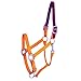 Gatsby Nylon Breakaway Halter Cob Orange