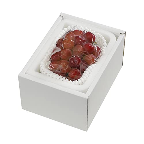 Ε Ԃǂ }Cn[g G 600g×1[ RY i`  uhE