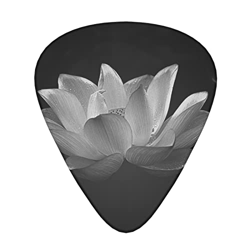Ensemble de 12 médiators de guitare Lotus noir et blanc pour guitare acoustique, guitare électrique, contrebasse… - Les Beatles, Paul McCartney, John Lennon, RIngo Starr, George Harrison Ensemble de 12 médiators de guitare Lotus noir et blanc pour guitare acoustique, guitare électrique, contrebasse…