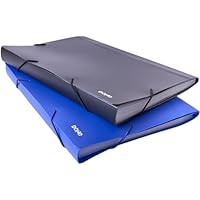 Dohe - A4 Akkordeonordner mit 13 Fächern (2 Stk.) - 32,8x23,7x2,7 cm, 2 Farben, Gummizugverschluss, Polypropylen 800 Mikron - Bürobedarf