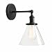 Permo Single Sconce with Funnel Flared Glass Clear Glass Shade 1-Light Wall Sconce Wall Lamp (Black)