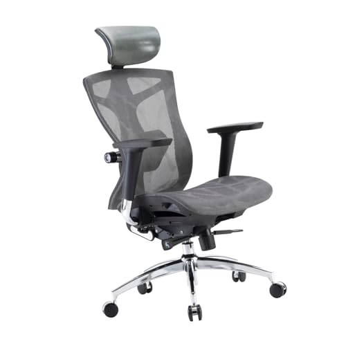 SIHOO Silla de Oficina Ergonómica M59AS con Reposabrazos 3D