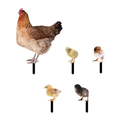 Statue de Jardin Poule Popyes Cover