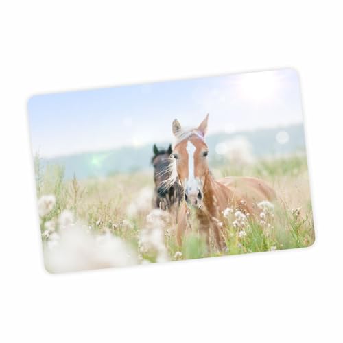 stabile Vinyl Schreibtischunterlage Bastelmatte Kinder Platzset | abwaschbarr rei&szlig;fest farbecht | Geschenk Schuleintritt Schulanfang Einschulung oder f&uuml;r Kita (Pferd)