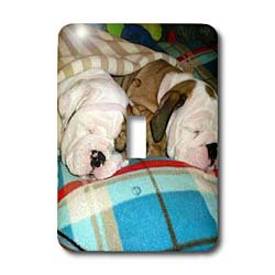 Interrupteur à baïonnette English Bulldog Powernap pour salon et chambre de passionné