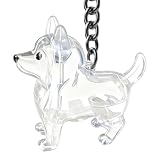 Ricordo Emozionale: Design commemorativo con ermetica che cattura i del cane preservando i ricordi preziosi per un valore sentimentale duraturo mantenendo il affettivo col animale domestico in modo pratico e senza