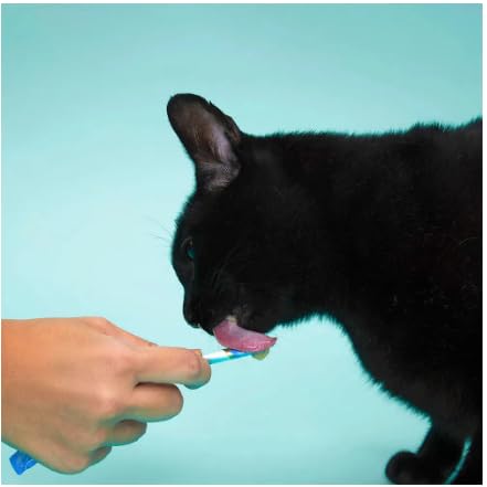 Churu Atum com Salmão 4 Tubos de 14g