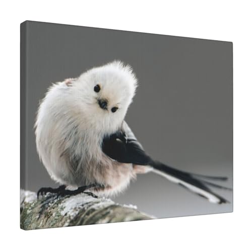 �V�}�G�i�K �� �k�C�� ��̗d�� �A�j�� �A�[�g�p�l�� �A�[�g�t���[�� ���_�� �|�X�^�[ �t���[�������� �L�����o�X�G�� �A�[�g�{�[�h ���� �ؐ� �������� �Ǌ|�� �\�t�@�̔w�i�G�� �ؘg�Z�b�g �O�b�Y �L�����N�^�[ �v���[���g 40×50cm FV5B5