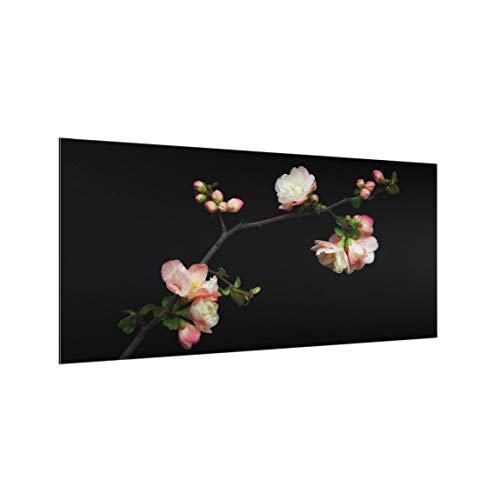 Crédence en verre motif cuisine fleurs 1678 panneau noir haut de gamme