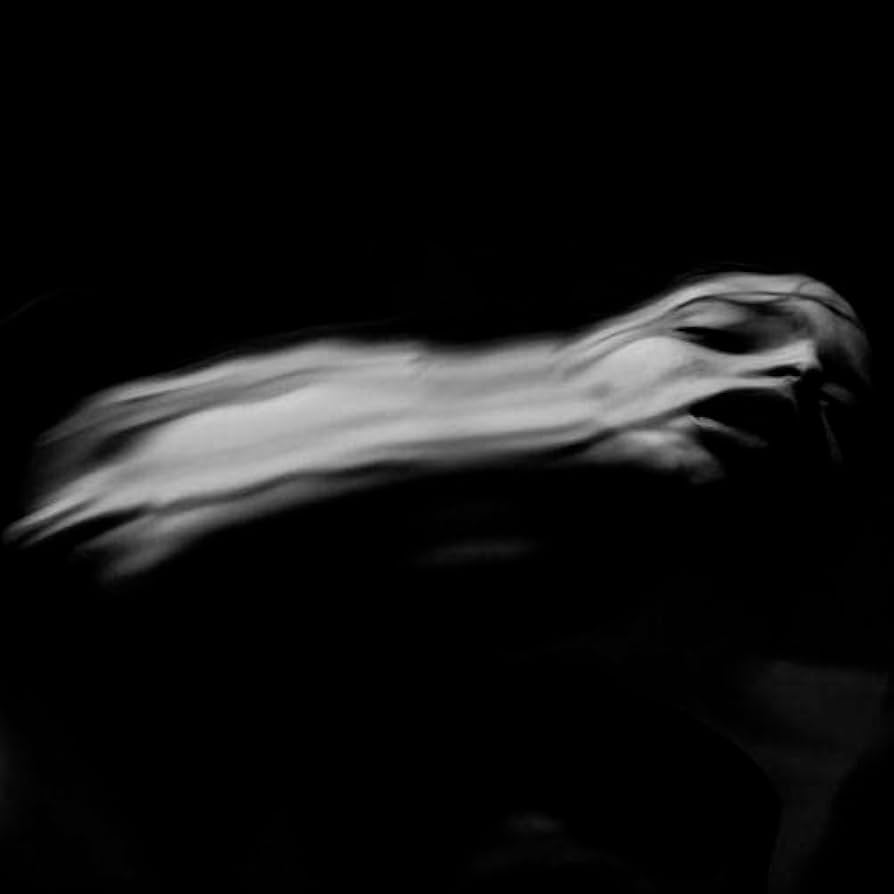 Amazon.co.jp: DIR EN GREY『落ちた事のある空』(ぴあアリーナMM