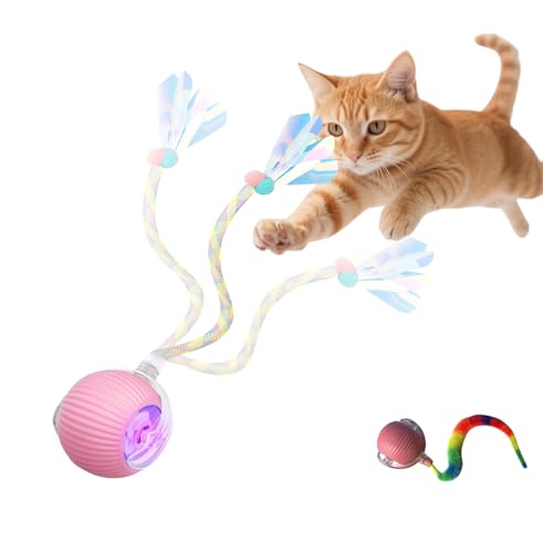 molxiobul Interactive Dog Cat Toy Ball Upgraded Rechargable Rolling Pet Ball with 2 Tails Smart Automatic Moving Toy for Bored Indoor Kitty Puppy -Pink