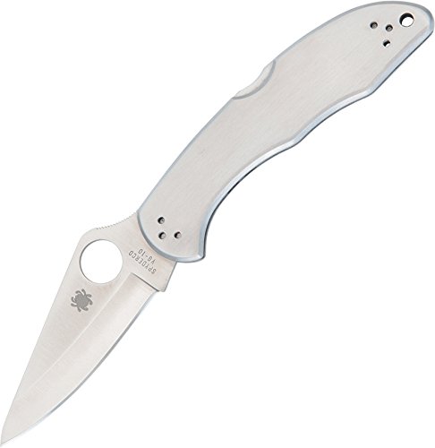 Spyderco Delica 4 Signature Folding Knife with 2.95
