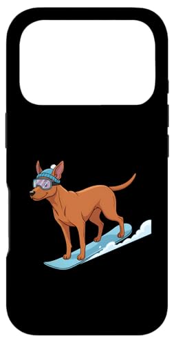 Xm[{[h  S[O jbgX ~ R Xm{ D Xm[X|[c ~ X}zP[X iPhone 17 Pro p