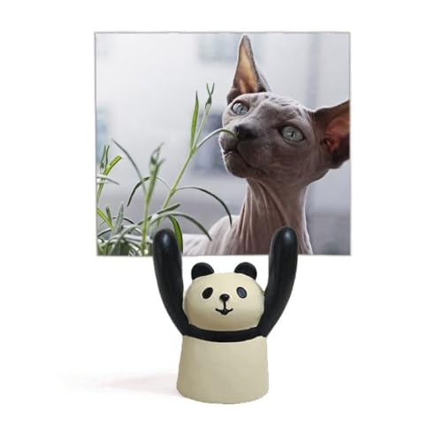 Support photo chat gris figurine décorative panda pour bureau