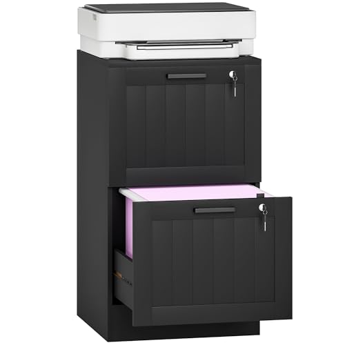 HOMCOM Archivador de 2 cajones con cerradura, archivador vertical con barras ajustables para colgar carpetas de archivos tamaño A4 y carta, soporte para impresora con almacenamiento, color negro