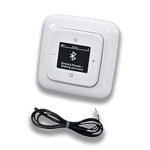 Busch Jäger DAB+ Unterputzradio Set 8217U-101