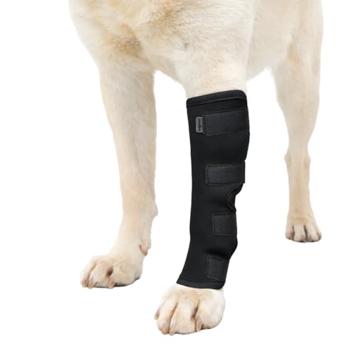 Long Front Leg Brace for Dogs Anti-Lick Sleeve & Carpal/Wrist Support for Sprains Arthritis Wound Protection & Injury Recovery Soft Adjustable Compression Wrap for Left or Right Front Leg Large
