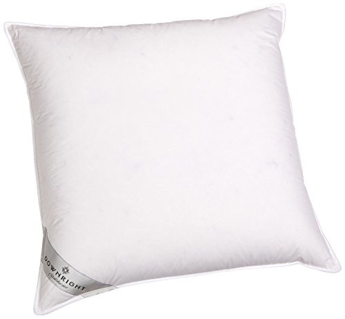 Downright 360 Thread Count 20 oz Logana Down Pillow, 26" x 26"