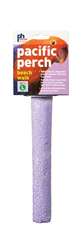 Image of Prevue Pet Products Pacific Perch Beach Walk Large - Natural Seashell Mineral Bird Perch for Cage Accessory, Foot Exercise & Beak Grooming, Medium to Large Birds