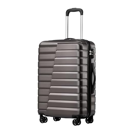 Coolife Hardside Spinner Luggage with TSA Lock