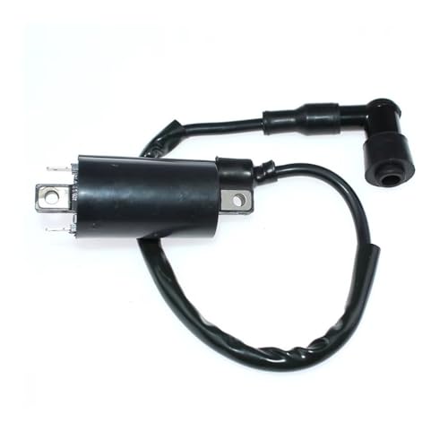 Bobine d'allumage performance stable Suzuki TS185 TS100 - 4