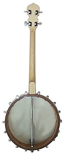 Amazon.com: Gold Tone 4-String Irish Tenor Banjo w/Gig Bag