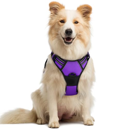 rabbitgoo Dog Harness No Pull with 2 Leash Clips, Adjustable Soft Padded, Reflective Oxford No Choke Pet Vest with Easy Control Handle for Medium Sized Dogs, Purple, M
