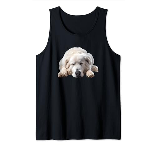 Maremma cane pastore Illustrazione Design
