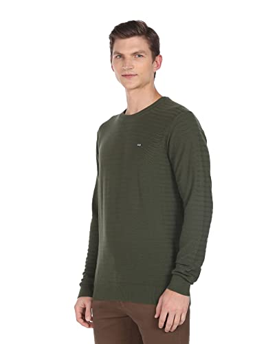 Image of Arrow Mens Cotton Round Neck Striped Regular Fit Sweater