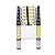 Single Straight Ladder Ladders,Multi-Purpose Telesladder Extendable Alumiportable for Household Daily Office Home (Size : 20Ft/6.2M)