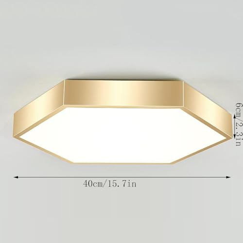 Plafonnier LED moderne à intensité variable 3 couleurs télécommande - 8