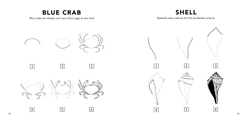 Under the Sea: How to Draw Books for Kids with Dolphins, Mermaids, and Ocean Animals (How to Draw For Kids Series) - Image 8